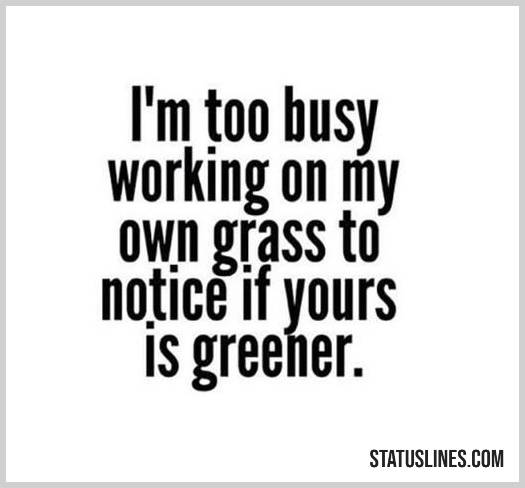 45 Minding Your Own Business Quotes Status Lines